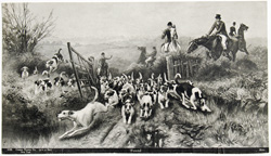 Fox hunting, polo and other horse prints